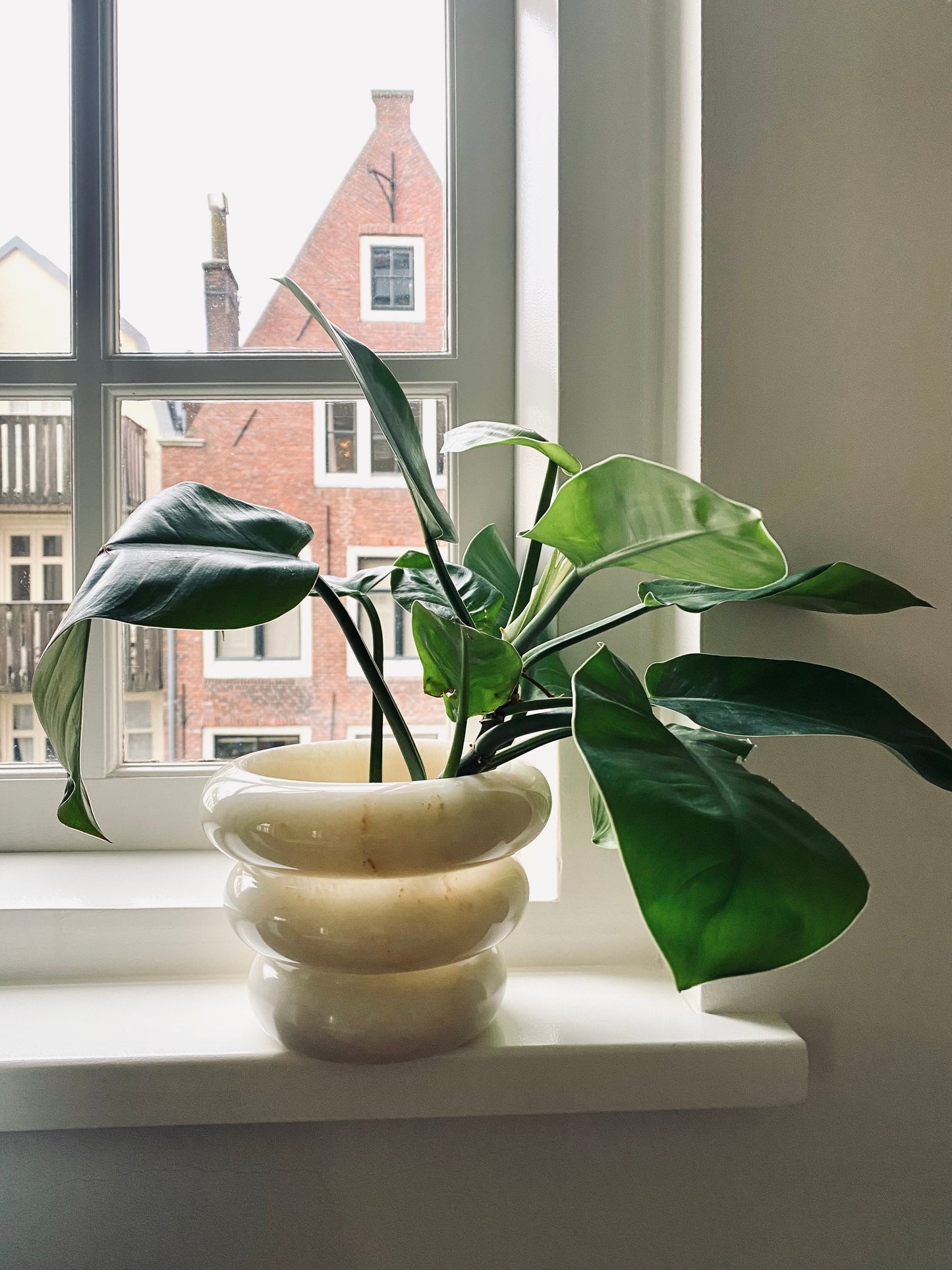 Cloud Bowl - White Marble